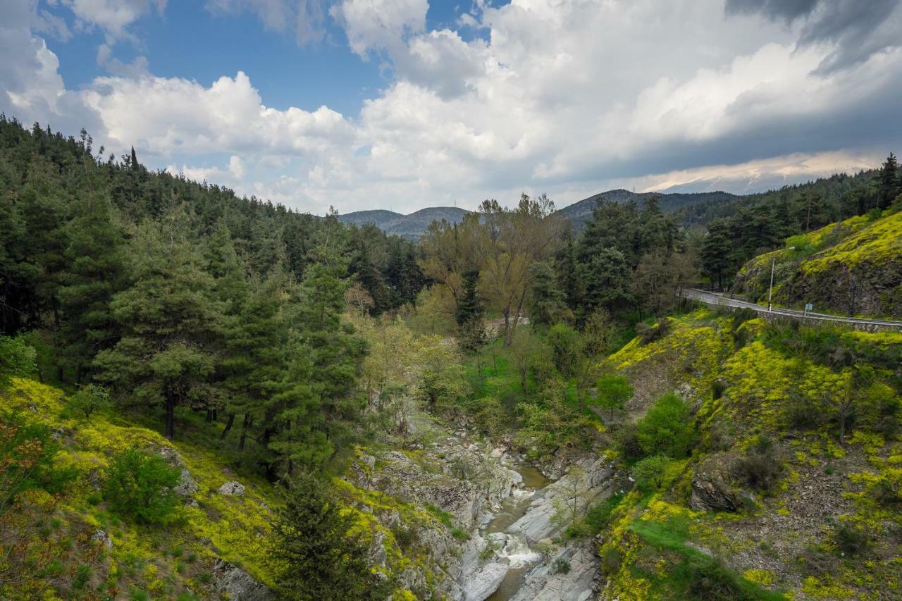 River Side Rooms Elassona Exterior photo
